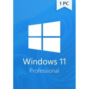 Microsoft Windows 11 Professional 64-bit